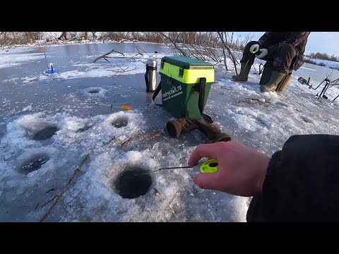 Видео: ПЕРВЫЙ ЛЁД! ТУТ каждая ЖЕРЛИЦА СТРЕЛЯЕТ по несколько  раз, НАДОЕЛО БЕГАТЬ! Ловим ОКУНЕЙ в КОРЯЖНИКЕ!