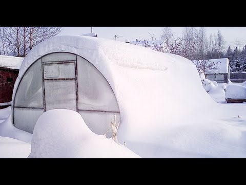 Видео: Как укрепить теплицу, чтобы НЕ РАЗБИРАТЬ ТЕПЛИЦУ НА ЗИМУ