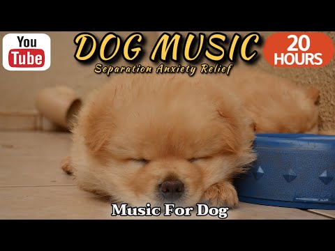 Видео: 20 часов любимой музыки собак🐶💖Музыка для сна собак 🐶🎵 Музыка для снятия беспокойства при разлуке🎵