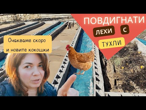 Видео: Напредък в двора: Повдигнати лехи, ремонт на стая и кокошарникът е готов! 🏡🐓 #Влог