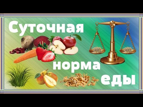 Видео: Питание попугая кореллы. Наш суточный рацион. Чем кормить попугая кореллу.