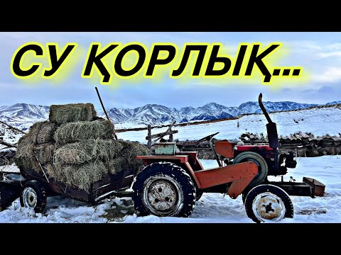 Видео: Отын олжа, су қорлық! Қыс-2025.