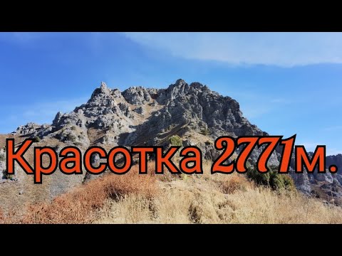 Видео: Красотка (Сафедшах) 2771м. 29.09.2024.🇺🇿. #горыузбекистана #узбекистан #uzbekistan