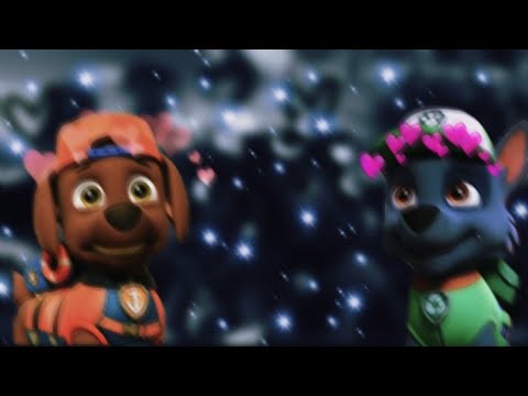 Видео: 💫Рокки и Зума💫(Я буду любить тебя всегда) ~Для канала HopeDreamka {Pawpatrol} Arts~💫Rocky x Zuma💫