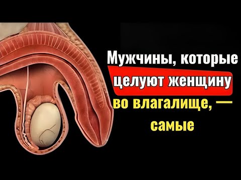 Видео: Всем пожилым людям стоит посмотреть это видео  Стоицизм