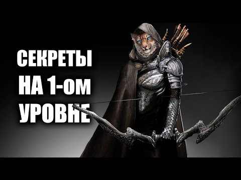 Видео: Skyrim Секреты на 1-ом Уровне! Лучший Старт Для Лучника на 1-ом Уровне! ( Секреты 354 )