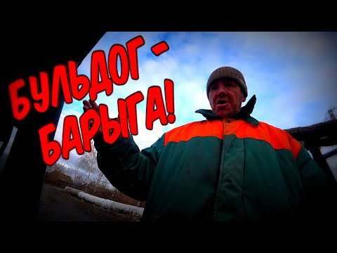 Видео: БУЛЬ-БУЛЬ ОГЛЫ - БАРЫГА / 153 серия (18+)