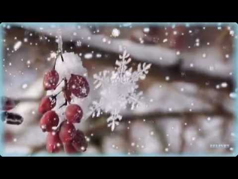 Видео: Любимому! Ты послан мне Богом! (Видео из ваших фотографий)