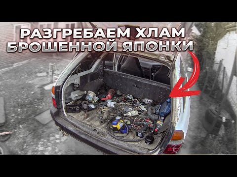 Видео: КУПИЛ МАШИНУ С МУРАВЕЙНИКОМ ВНУТРИ | С КРИСТИНОЙ ВЫМЫВАЕМ КОВРЫ | ЖИЗНЬ В ДЕРЕВНЕ.