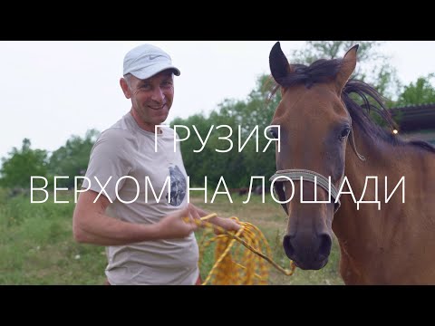 Видео: 1Georgia Грузия Верхом на лошади Покупка лошади Тбилиси Марнеули Рынок лошадей Иподром Седло