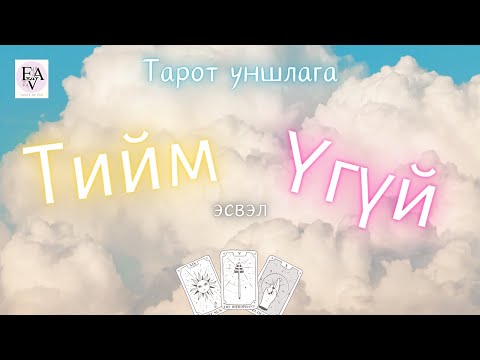 Видео: ТИЙМ / ҮГҮЙ богино хариулт бүхий 🔮 Тарот уншлага 🔮 Queens
