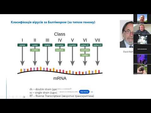 Видео: Лекція 11. Противірусні препарати (к.х.н. Кондратов І.С.)