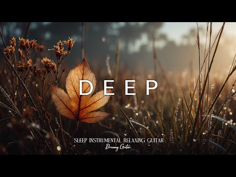 Видео: Акустические Мелодии, Спокойные Осенние Настроения 🎶