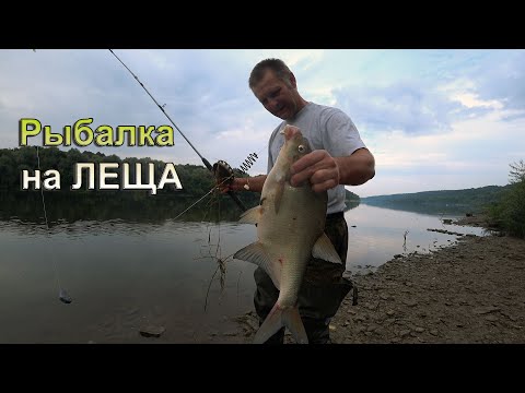 Видео: И снова за ЛЕЩОМ с дубовыми снастями. Рыбалка с ночёвкой.