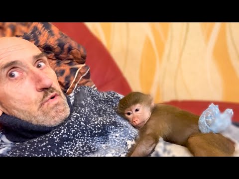 Видео: Я РУГАЮСЬ! Люська рвет обои , а Влад ее всячески защищает!