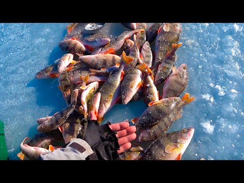 Видео: ОТОРВАЛСЯ ПО ОКУНЮ !!!