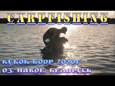 Видео: Ежегодный турнир по ловле карпа на призы БООР. Оз. "НАВОЕ", сентябрь 2020г