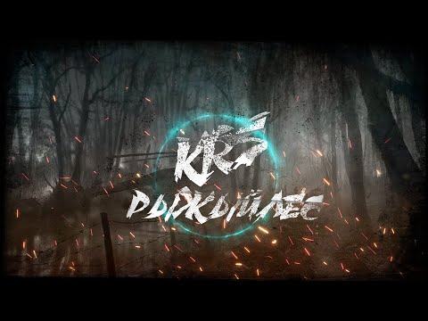 Видео: KRS - Рыжий лес ( Песня про S.T.A.L.K.E.R.)