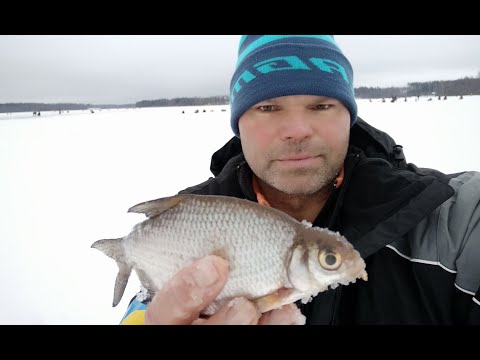 Видео: Как прикормить белую рыбу зимой. Секреты ловли крупной густеры со льда. Тренировка перед ЧМ 2020