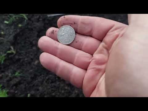 Видео: Deus 2,прошивка 3.03?🤢сыромятина.