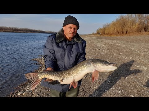 Видео: Огромная щука на спиннинг в конце первой декады октября