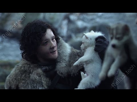 Видео: Jeens ждёт волков в Crusader Kings 3 #4