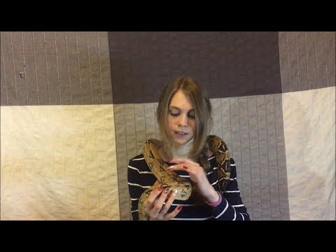 Видео: Давайте поговорим о кормлении змей в домашних условиях)
