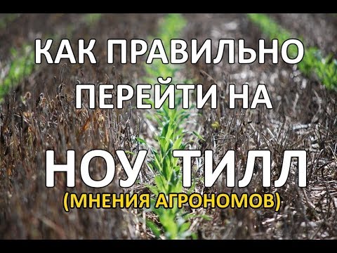 Видео: Нулевая технология (ноу тилл) #notill