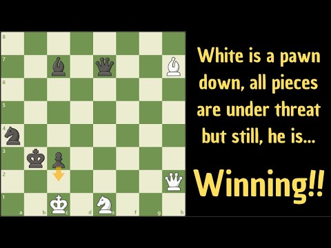 Видео: Могут ли белые действительно выиграть?