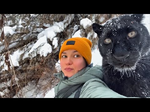 Видео: Снегопад в Лунном царстве 😸❄️
