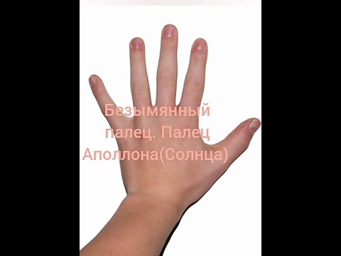Видео: Безымянный палец. Палец Аполлона (Солнца)