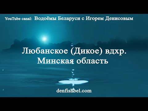 Видео: Любанское вдхр. Минская обл.