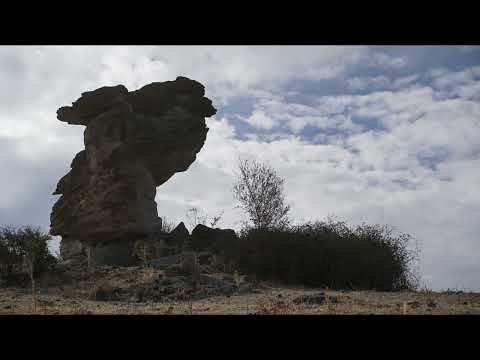 Видео: Гъбата до Женда