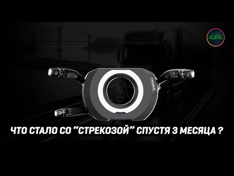 Видео: ЧТО СТАЛО СО СТРЕКОЗОЙ ОТ МОЗЫ СПУСТЯ 3 МЕСЯЦА?