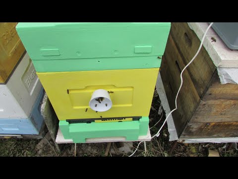 Видео: ошибки пчеловода при выборе улья на пасеке - какой улей лучше выбрать для пасеки и почему - часть 2