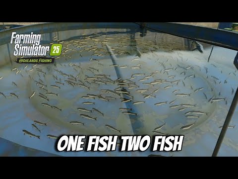 Видео: Кинлайг №4 Одна рыба, две рыбы - Farming Simulator 25 FS25 XBOX