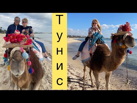 Видео: Обзор отеля :«Steigenberger Marhaba Thalasso»  г. Хаммамет 🔴Территория отеля и пляжный верблюд🟢