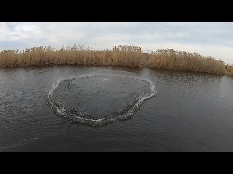 Видео: НАШЁЛ СКОПЛЕНИЕ КРУПНОЙ РЫБЫ!!!  ДАВНО Я НЕ ЛОВИЛ ТАКИХ КАБАНОВ. НАКИДКА РАДУЕТ В ОЧЕРЕДНОЙ РАЗ...