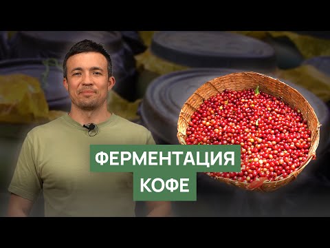 Видео: Ферментация кофейного зерна | Аэробная, анаэробная, эспериментальная обработка