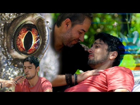 Видео: Моё путешествие в бесконечность | Опыт с живой жабой 5-MeO-DMT. ДОКУМЕНТАЛЬНЫЙ ФИЛЬМ