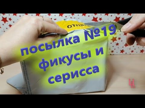 Видео: распаковка посылки №19 / фикусы и серисса / пополнение коллекции