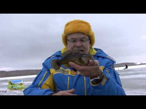 Видео: 2015, Аргаяш, Ротанище!