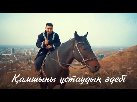 Видео: Қамшы туралы қызықты факт. «Жылқы – малдың патшасы»