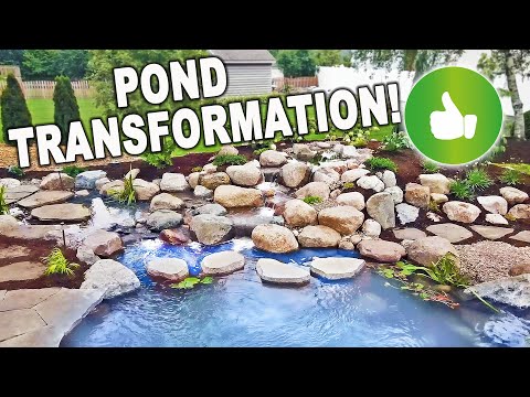 Видео: ПРЕОБРАЖЕНИЕ ПРУДА: В нём есть всё! — РАСКРЫТЬ