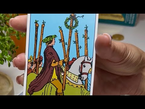 Видео: ‼️Выход из ОТШЕЛЬНИКА🗣️💡Пора передавать знания и опыт 🕊️