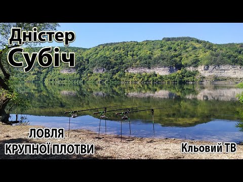 Видео: Дністер СУбіч  Ловля крупної плотви