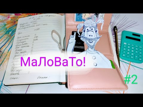 Видео: МЫ ИХ ПРЕДВИДЕЛИ 🫣 НЕПРЕДВИДЕННЫЕ ТРАТЫ! 👏😆 Распределение, новая работа