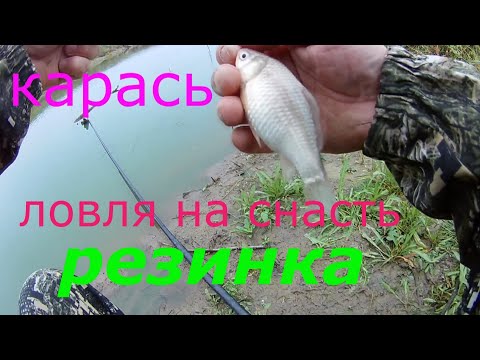 Видео: Карась осенью в октябре.Снасть Резинка, хороший улов.