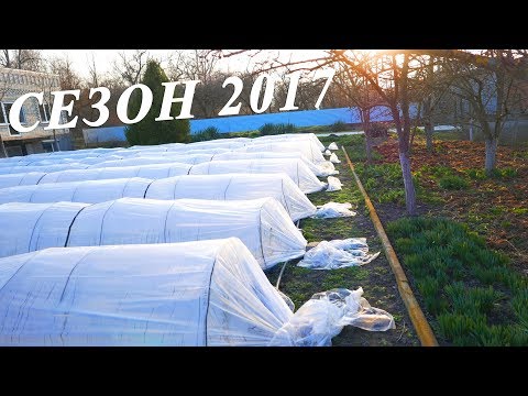 Видео: УСИЛЕНИЕ КОРНЕВОЙ