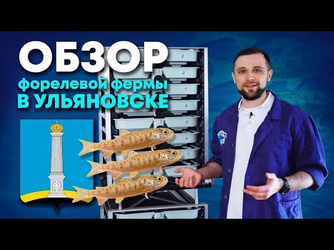 Видео: Как ОБЫЧНОЕ ЗДАНИЕ превратить в ФЕРМУ УЗВ для ФОРЕЛИ? | Обзор ФОРЕЛЕВОЙ фермы УЗВ в Ульяновске